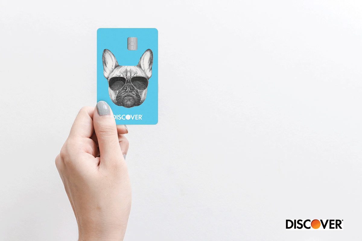Discover Card Designs Frenchie